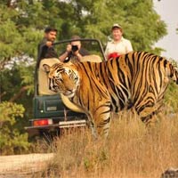 Bandhavgarh National Park